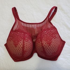 Lane Bryant Bra